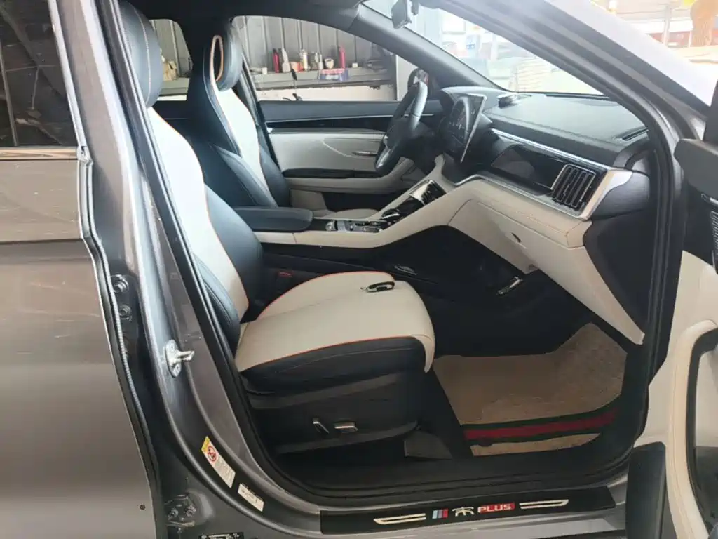 BYD PLUS New Energy — миниатюра 25