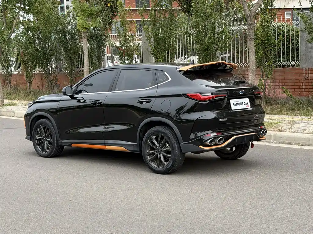 Oshan Oushang X5 — миниатюра 6