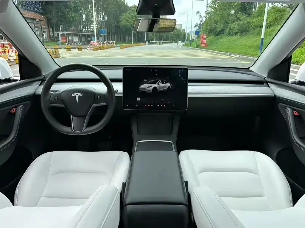Tesla Model Y — миниатюра 5