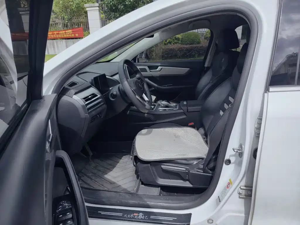 BYD Qin Pro Pro 2019 EV