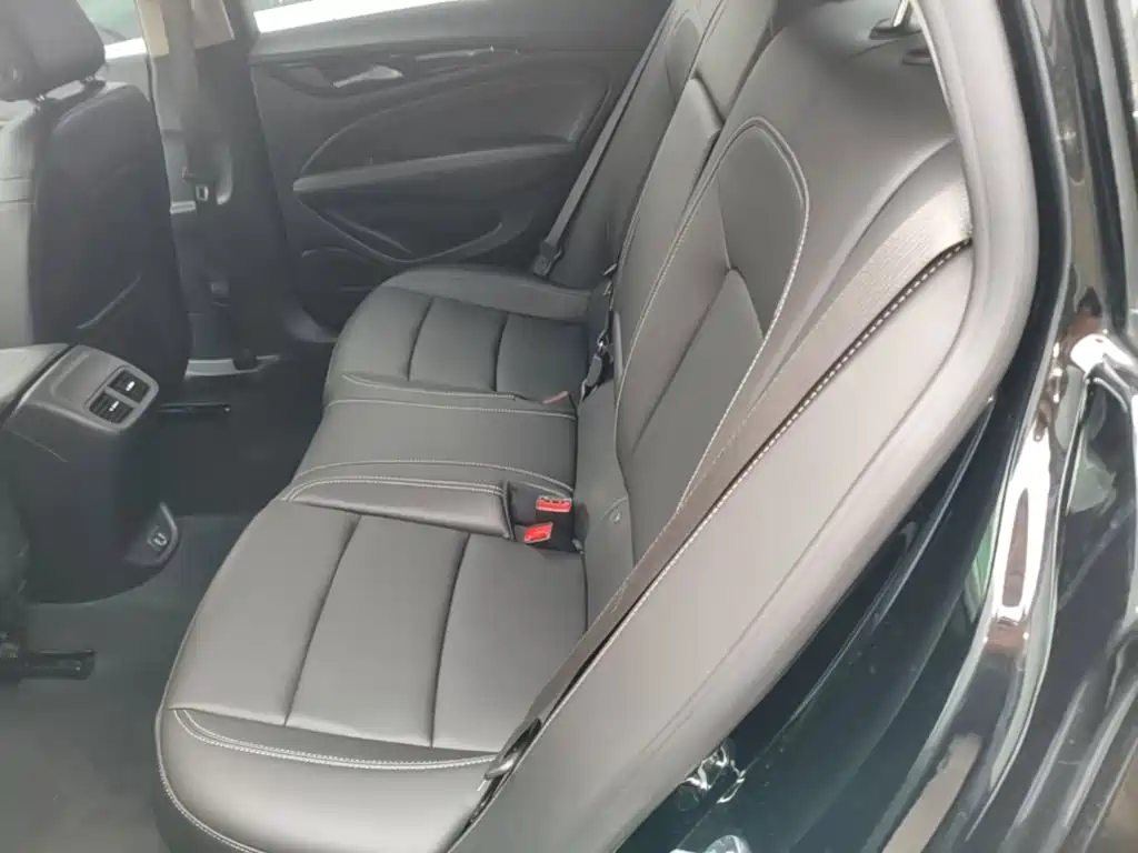 Buick Regal — миниатюра 17