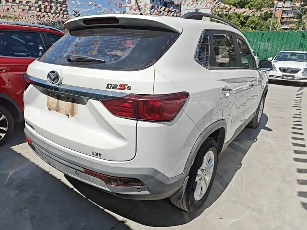 Huasu Huansu S5 — миниатюра 5