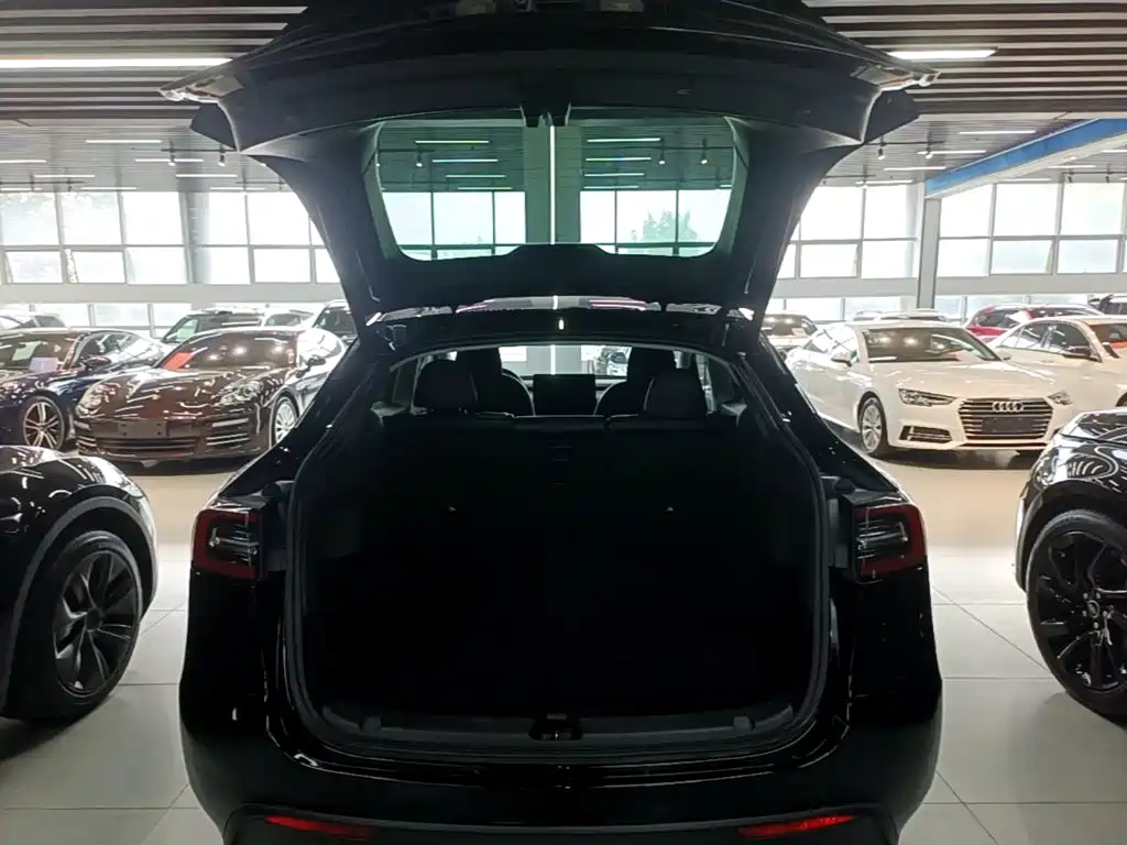 Tesla Model Y — миниатюра 19
