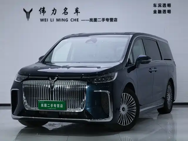 2025 Voyah Dream