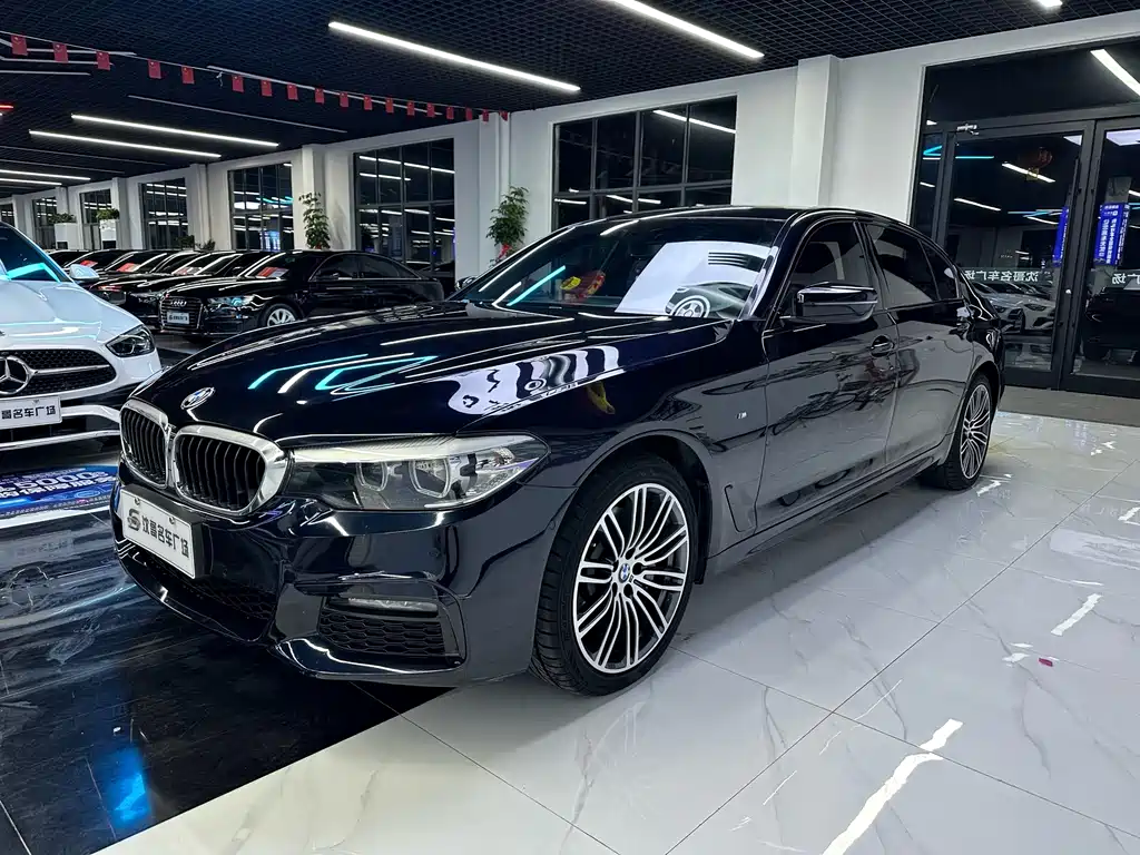 BMW 5 Series 2019