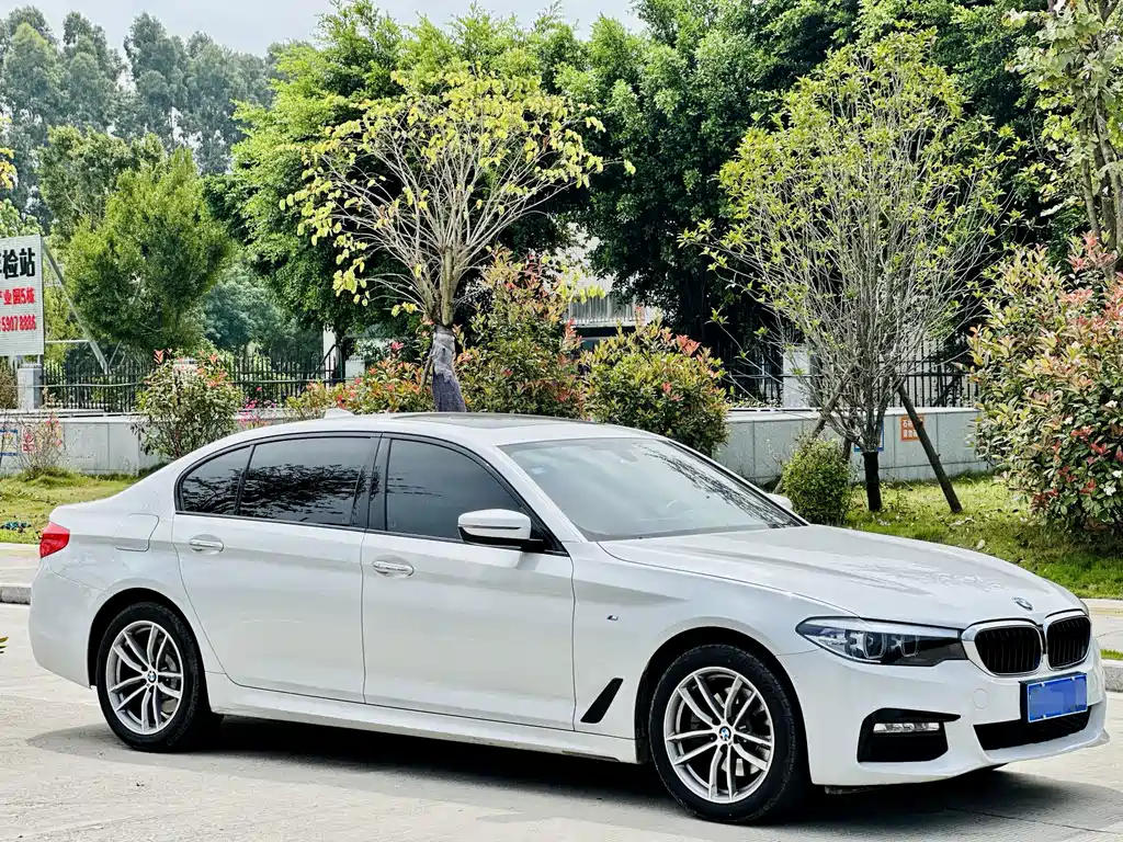 BMW 5 Series — миниатюра 3
