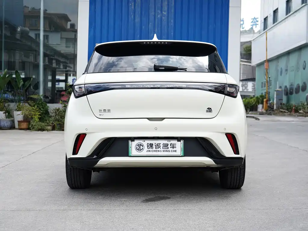 BYD Dolphin — миниатюра 8