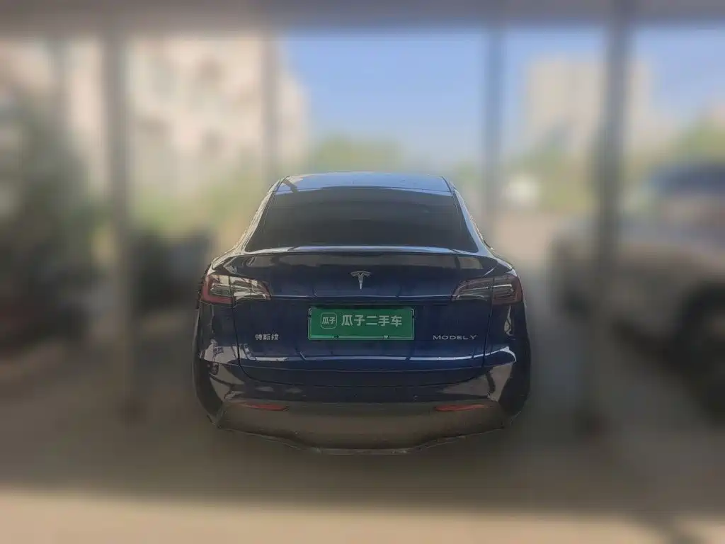Tesla Model Y — миниатюра 5