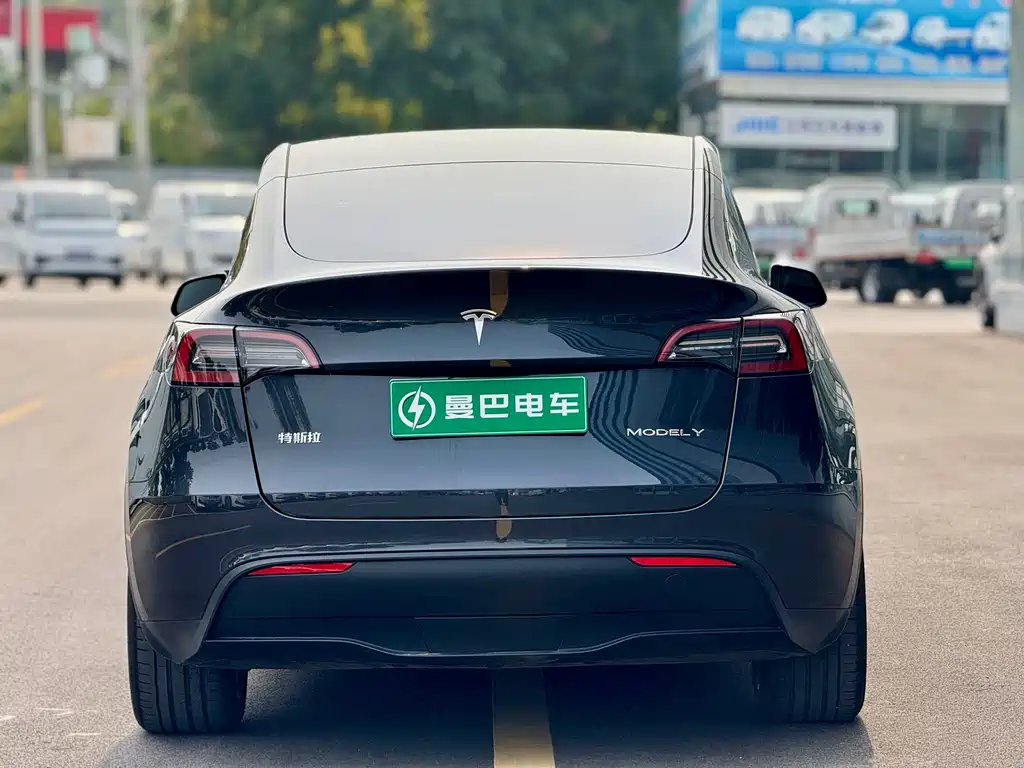 Tesla Model Y — миниатюра 6