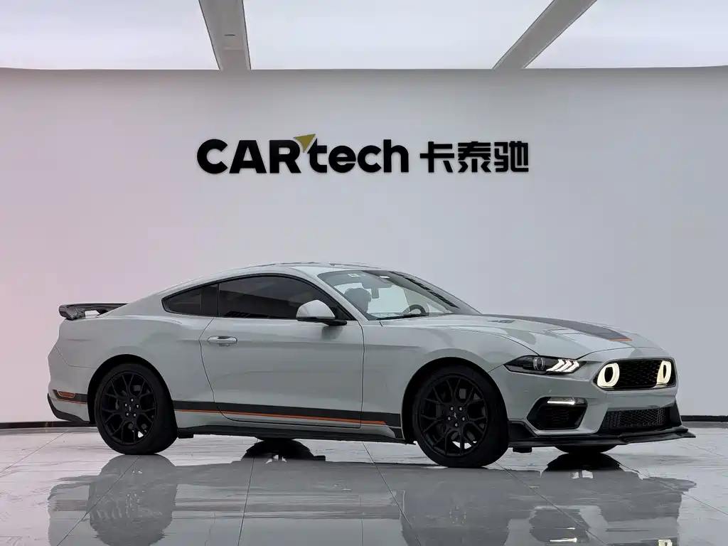 Ford Mustang — миниатюра 11