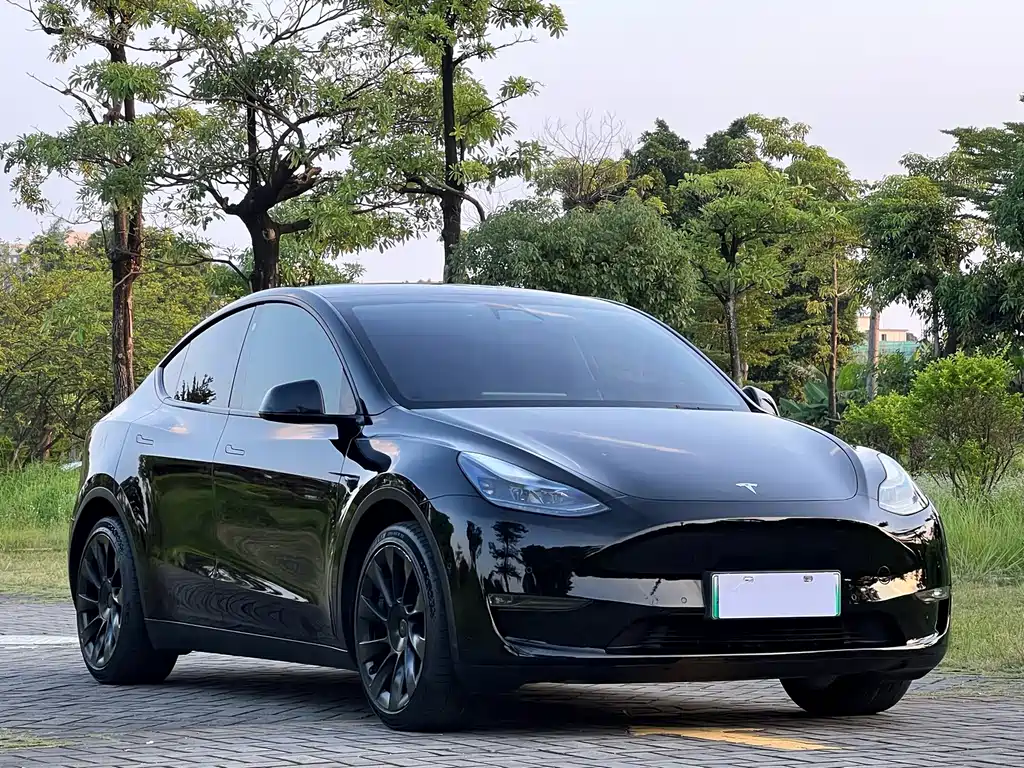 Tesla Model Y — миниатюра 3