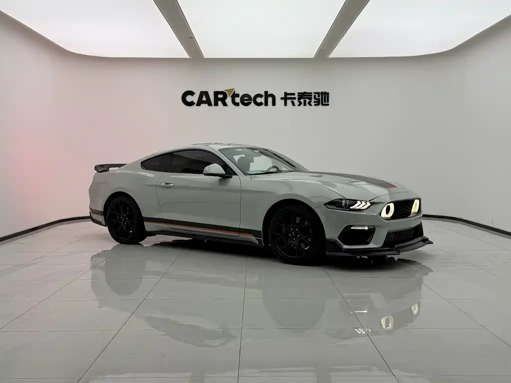 Ford Mustang — миниатюра 3