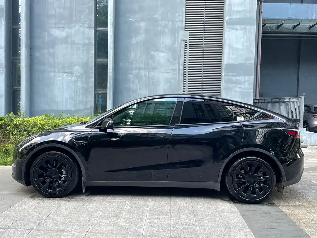 Tesla Model Y — миниатюра 2