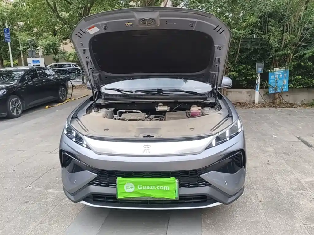 BYD Pro New Energy — миниатюра 20