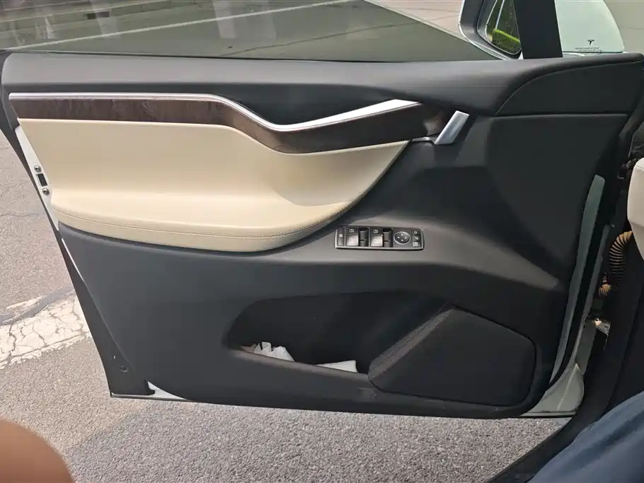 Tesla Model X 2017 Model X 100D