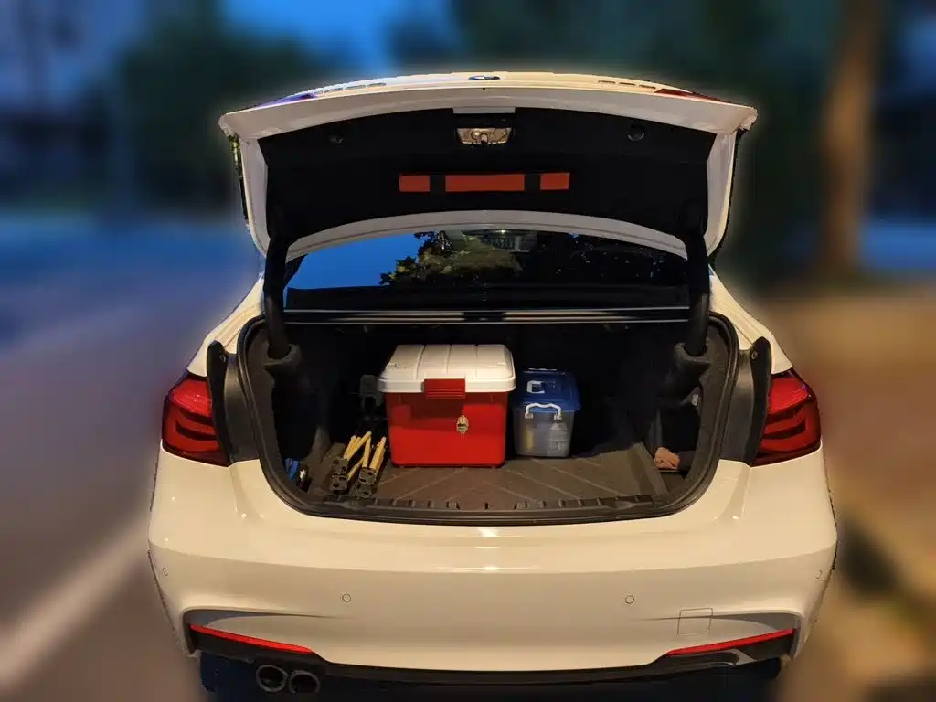 BMW 3 Series — миниатюра 15