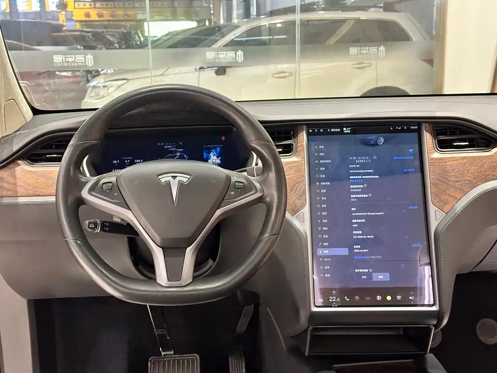 TESLA MODEL X