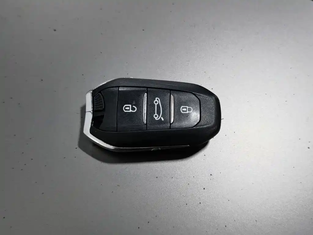 DS DS 5 — миниатюра 19
