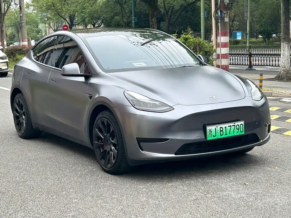 Tesla Model Y — миниатюра 11