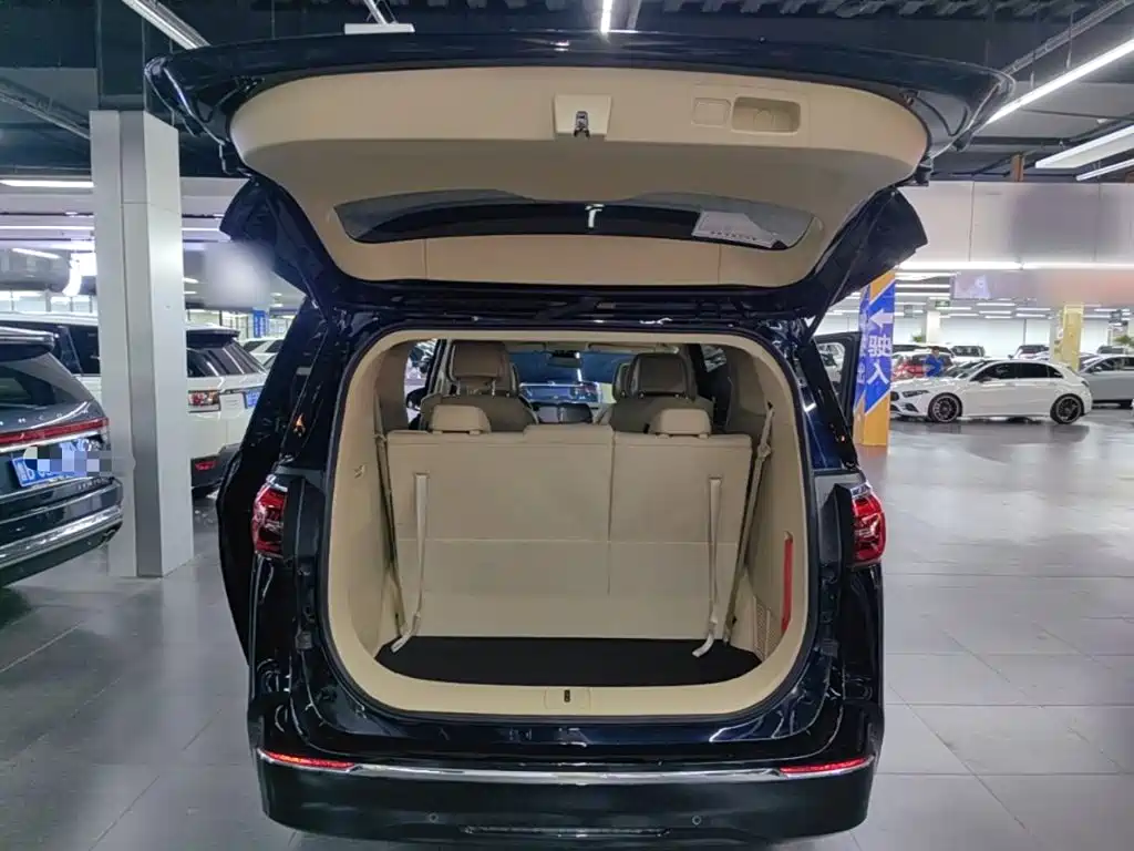 Buick GL8 — миниатюра 19
