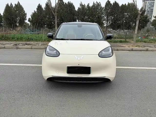 2026 Wuling Motors Binguo
