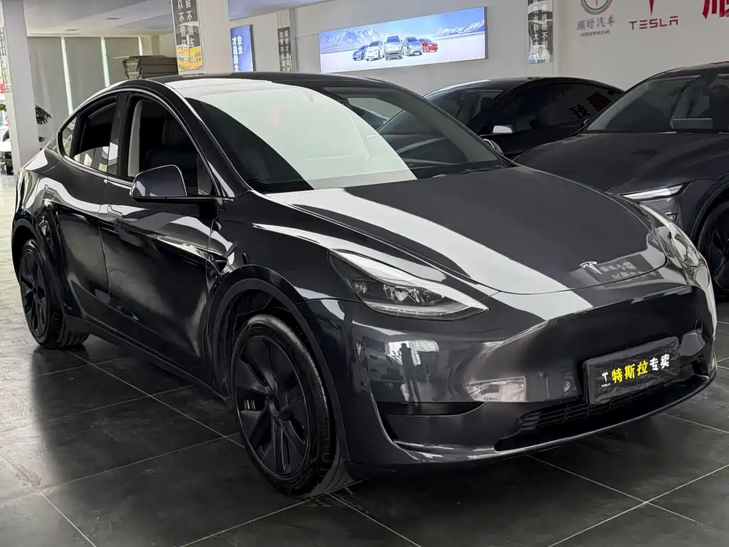 Tesla Model Y — миниатюра 3