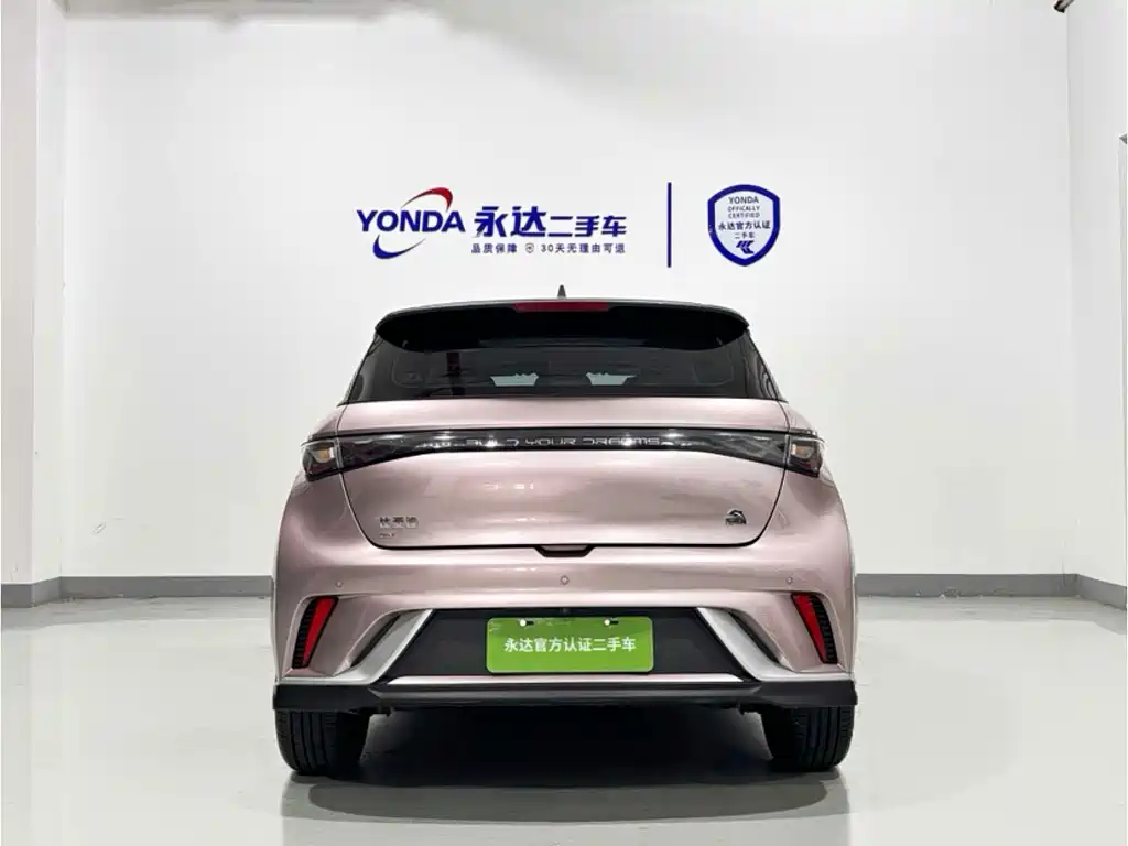 BYD Dolphin — миниатюра 3