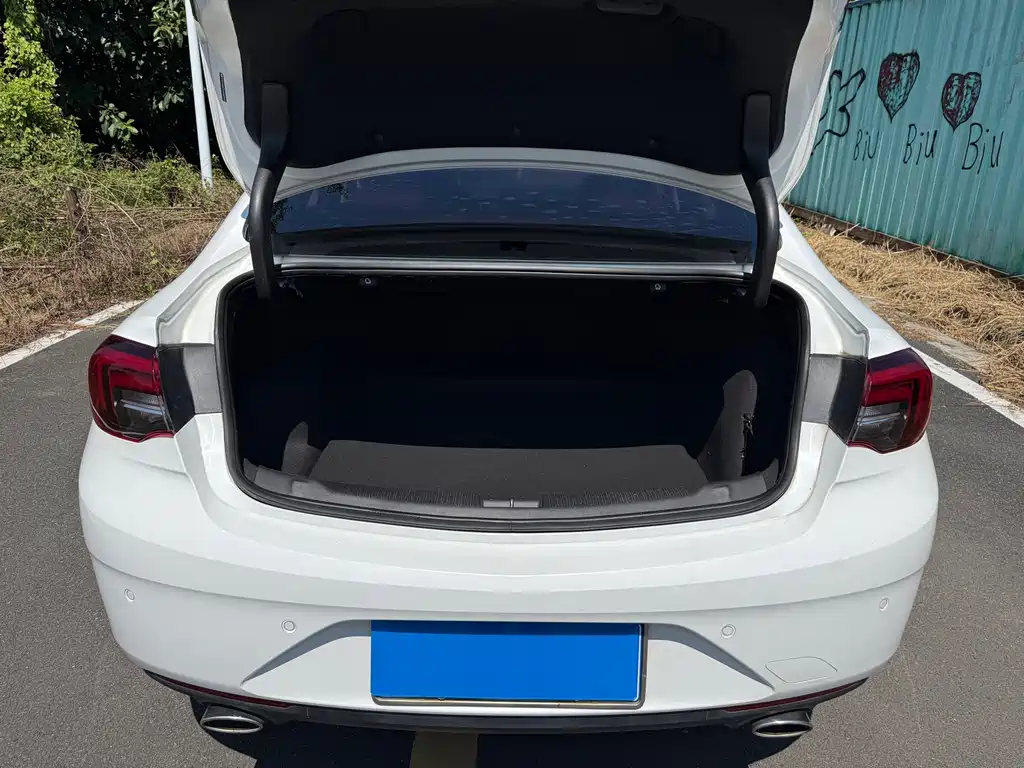 Buick Regal — миниатюра 16