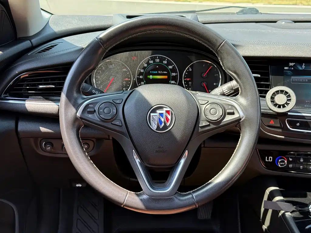 Buick Regal — миниатюра 10