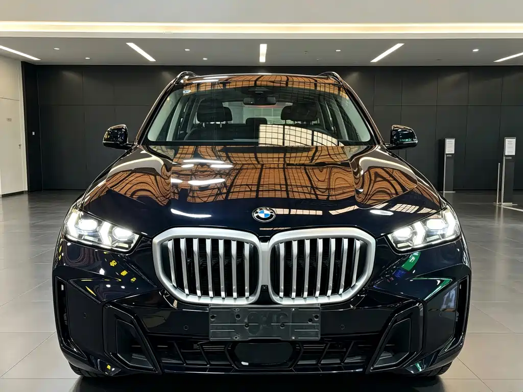 BMW X5 — миниатюра 2