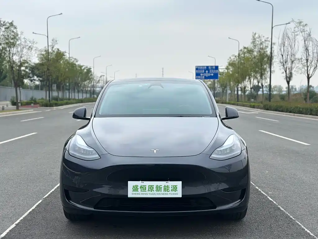 Tesla Model Y — миниатюра 9