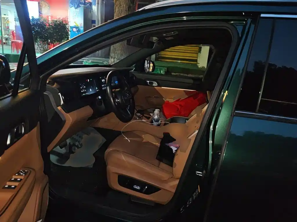 Li Auto Li ONE — миниатюра 11