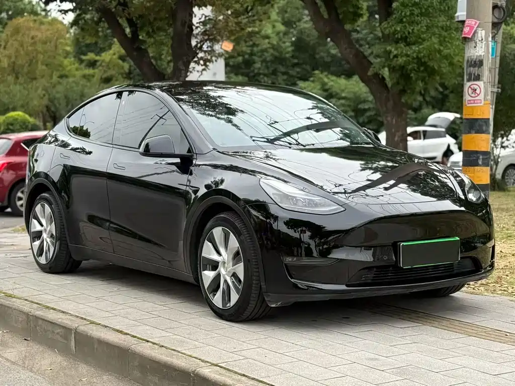 Tesla Model Y — миниатюра 3