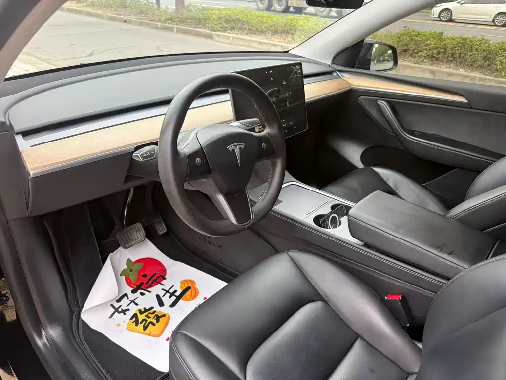 Tesla Model Y — миниатюра 4