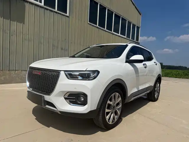 2018 Haval H2