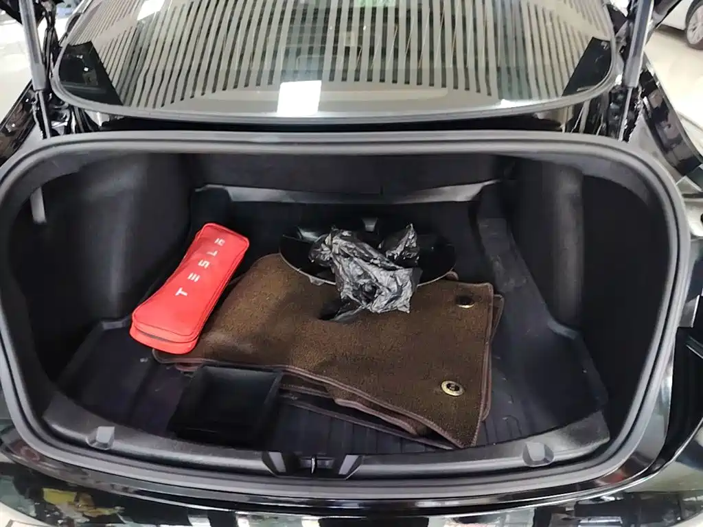 Tesla Model 3 — миниатюра 19