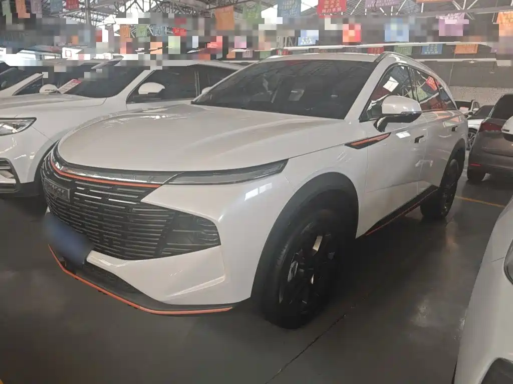 Haval Shenshou — миниатюра 25