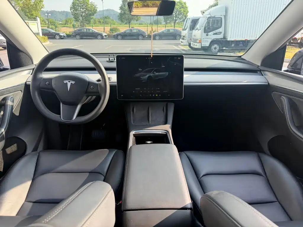 Tesla Model Y — миниатюра 13