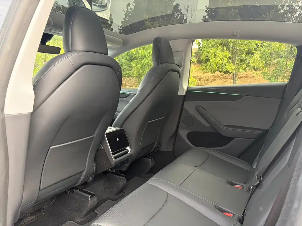 Tesla Model Y — миниатюра 12