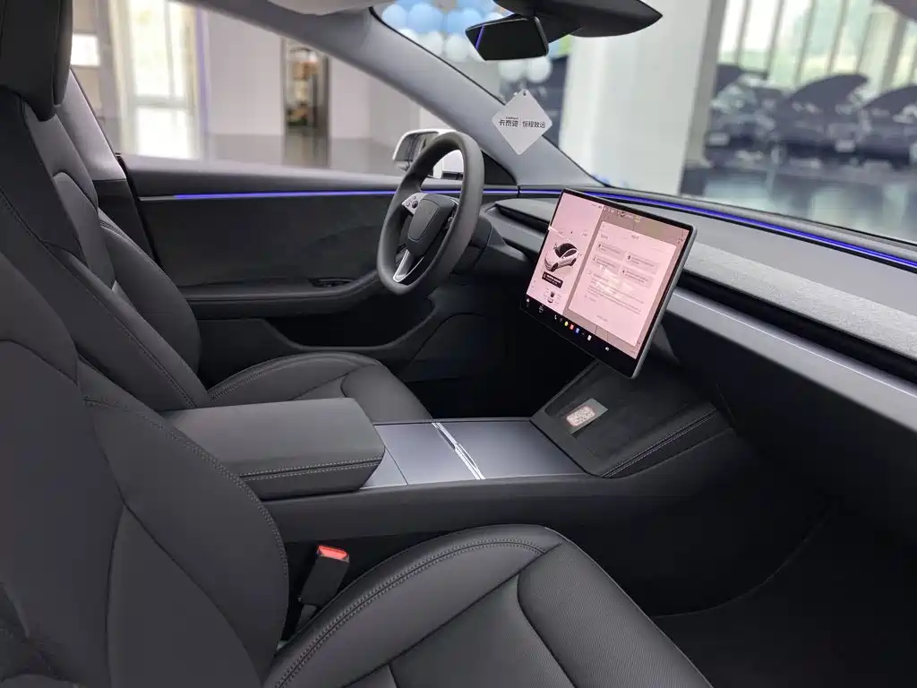 Tesla Model 3 — миниатюра 19
