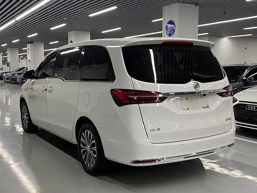 Buick GL8 — миниатюра 21