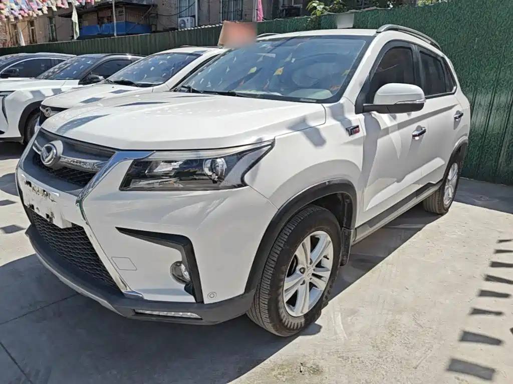 Huasu Huansu S5 — миниатюра 2