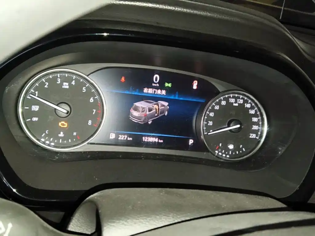 Buick GL8 — миниатюра 12