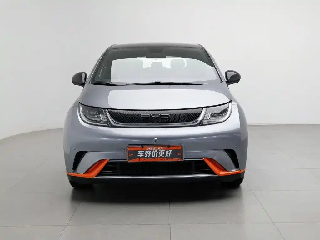BYD Dolphin — миниатюра 3