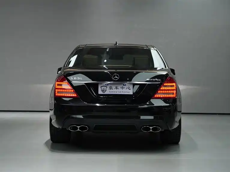 Mercedes-Benz S-Class A MG S AMG 2010 AMG S 65