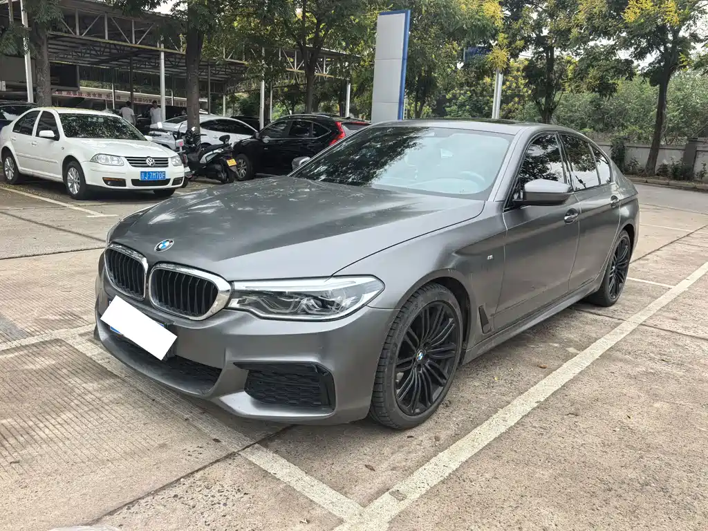 BMW 5 Series (Import)