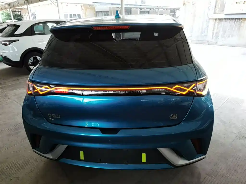 BYD Dolphin 2021 405km Fashion