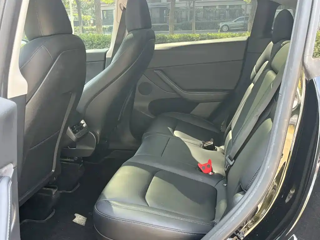 Tesla Model Y — миниатюра 5
