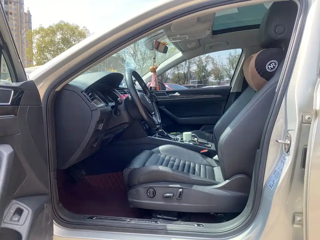 Volkswagen Magotan 2019 330TSI DSG Luxury VI