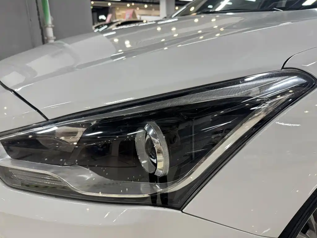 HYUNDAI NAME PICTURE